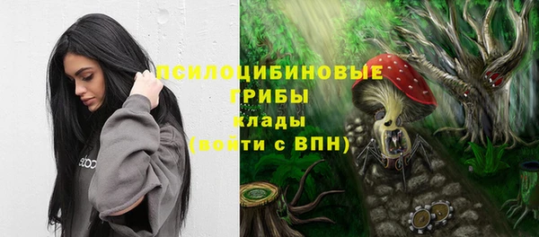 ECSTASY Алексеевка