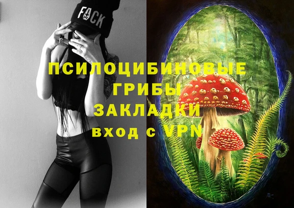 круглые Алзамай