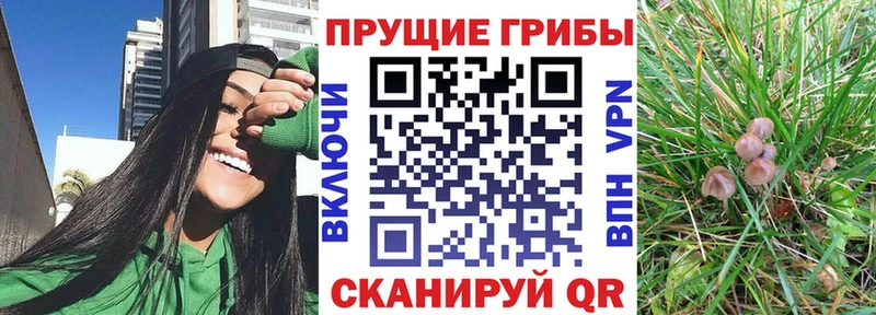 Псилоцибиновые грибы Psilocybine cubensis  Прохладный 