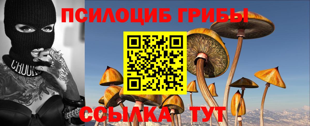 Прохладный  Галлюциногенные грибы ЛСД  наркошоп  Вход с VPN 