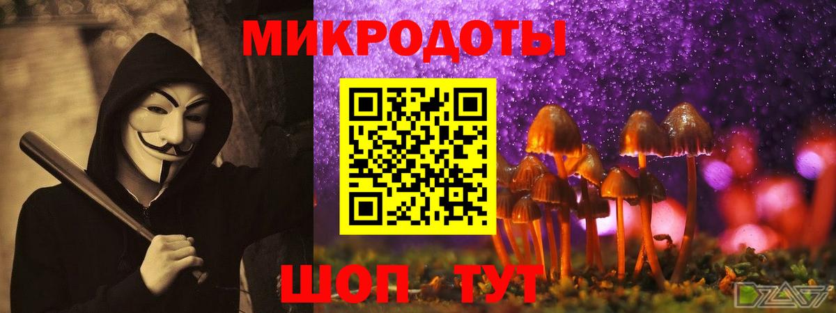 Псилоцибиновые грибы GOLDEN TEACHER Прохладный