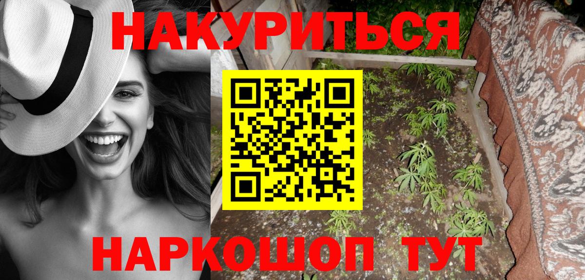 Канабис Amnesia  Конопля OG Kush  Прохладный  МАРИХУАНА гибрид  Вход с VPN 